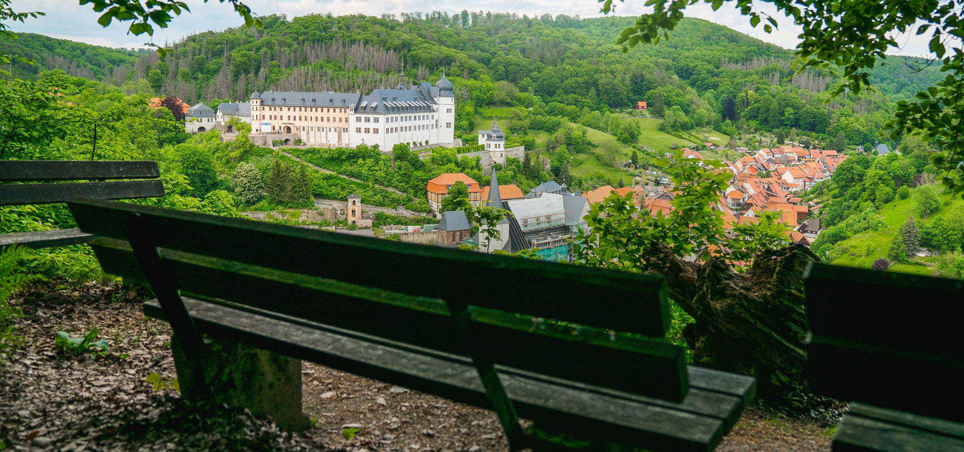 Schloss Stolberg und Umgebung Von einer Bank aus sieht man auf das Schloss Stolberg umgeben von grüner Natur im Harz.